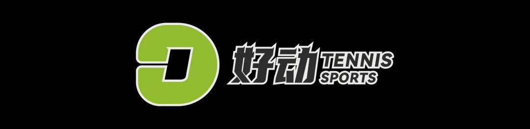 意甲